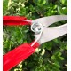 Garden Grafting Cut Tool Kit Fruit Tree Stainless Steel Pruning Shears Scissor