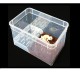 Integrated Reptile Breeding Box PVC Transparent Acrylic Feeding Box Case