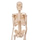 Mini Detachable Human Skeleton Bone Model Removable Arms Legs w Metal Stand Anatomical Medical Model