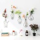 Nordic Metal Vase Glass Hydroponic Plant Container Ornaments Home Decor Accessories