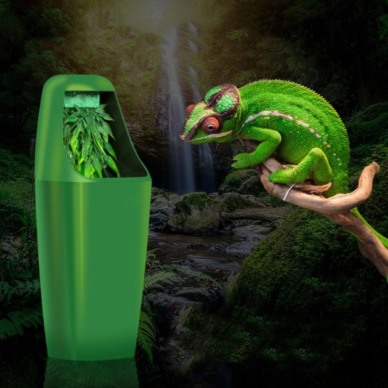 Reptile Drinking Water Filter Fountain Feeding Chameleon Lizard Dispenser Terrarium 220-240V AC