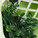 Reptile Drinking Water Fountain Chameleon Lizard Dispenser Terrarium Habitats Pet Toys Reptile Drinking Water Fountain Chameleon Lizard Dispenser Terrarium Habitats Pet Toys