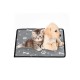 S/M/L/XL Oxford Cloth Pet Dog Cat Mat Cushing Summer Cooling Pad Car Pad Pet Bed Non-slip Comfort