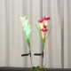 Solar Power Lily Rose Flower Stake Landscape Lamp Yard LED Light Outdoor Garden