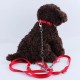 Stainless Double Headed Dog Traction Rope Pet Coupler Twin Lead Bite Resistant Pet Chain Stainless Double Headed Dog Traction Rope Pet Coupler Twin Lead Bite Resistant Pet Chain