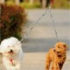 Stainless Double Headed Dog Traction Rope Pet Coupler Twin Lead Bite Resistant Pet Chain