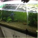 Tortoise Tropical Fish Tank Vacuum Siphon Gravel Cleaner Pump tools Aquarium Cleaner Vacuum Pump Tortoise Tropical Fish Tank Vacuum Siphon Gravel Cleaner Pump tools Aquarium Cleaner Vacuum Pump