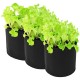 Vegetable Garden Herb Flower Planting Bag Root Control Grow Raised Bed Planter