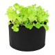 Vegetable Garden Herb Flower Planting Bag Root Control Grow Raised Bed Planter