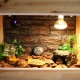 Wooden Reptile Vivarium Terrariums Heating Cage Lizard Turtle Breeding Housing Decorations