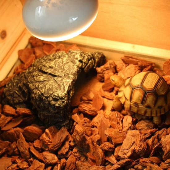 Wooden Reptile Vivarium Terrariums Heating Cage Lizard Turtle Breeding Housing Decorations