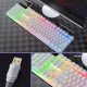 104 Keys USB Wired Gaming Keyboard and Mouse Set Waterproof Silent/Sound Changing Backlight Mouse for Computer Desktop Notebook