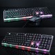 D280 104 Keys Gaming Keyboard RGB Backlit Light Wired Keyboard and 1600 DPI Gaming Mouse Set