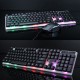 D500 104 Key USB Wired Gaming Keyboard RGB Backlit 1600 DPI Gaming Mouse Set with Mouse Pad for Computer Desktop Notebook