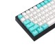 124 Keys QingSu Keycap Set OEM Profile PBT Double Color Injection Keycaps for Mechanical Keyboard