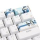 4 Keys Antarctic Penguin Keycap Set OEM Profile PBT Novelty Space Bar 6.25u ESC Enter Key 4 Keys Antarctic Penguin Keycap Set OEM Profile PBT Novelty Space Bar 6.25u ESC Enter Key