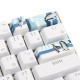 4 Keys Antarctic Penguin Keycap Set OEM Profile PBT Novelty Space Bar 6.25u ESC Enter Key