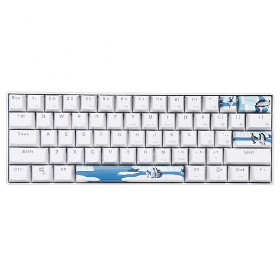 4 Keys Antarctic Penguin Keycap Set OEM Profile PBT Novelty Space Bar 6.25u ESC Enter Key