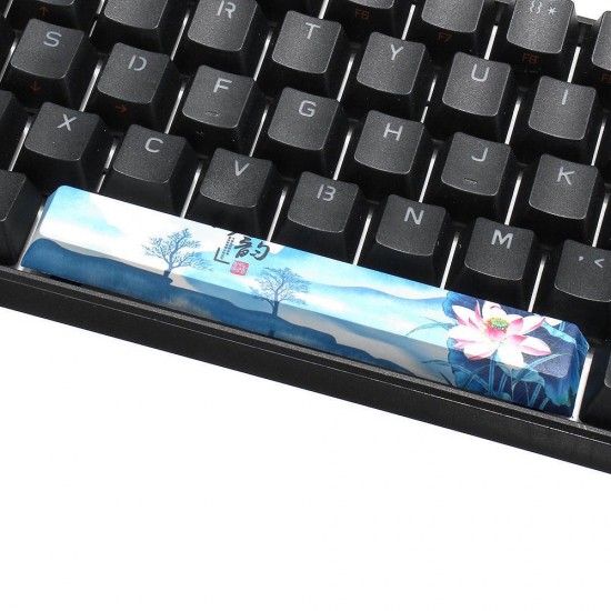 PBT Lotus Pond Fly Space Bar 6.25u Novelty Keycap