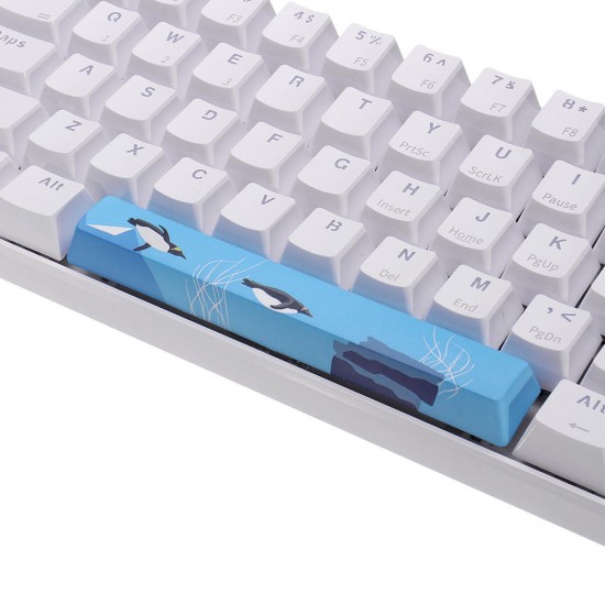 PBT OEM Profile Penguin Space Bar 6.25u Novelty Keycap for GK61 Black Case and MX Switch Keyboard