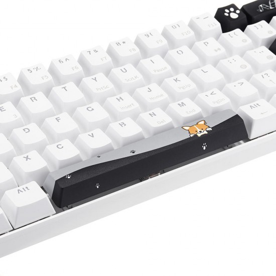 PBT OEM Profile Yellow Dog Shark Space Bar 6.25u Novelty Keycap + ESC Enter Keycaps PBT OEM Profile Yellow Dog Shark Space Bar 6.25u Novelty Keycap + ESC Enter Keycaps