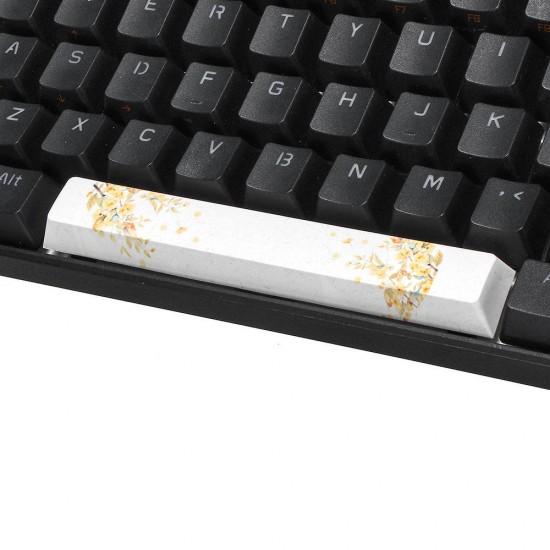 PBT Small Yellow Flower Space Bar 6.25u Novelty Keycap PBT Small Yellow Flower Space Bar 6.25u Novelty Keycap