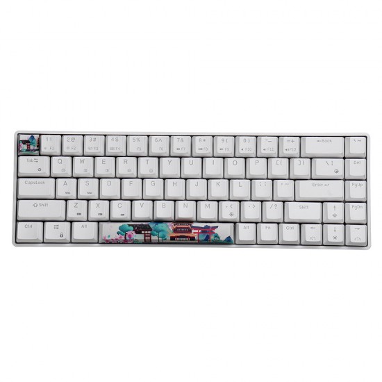 Space + ESC Personalized Keycap Set OEM Profile PBT Five-sided Sublimation Space Bar 6.25u Keycaps for Mechanical Keyboard Space + ESC Personalized Keycap Set OEM Profile PBT Five-sided Sublimation Space Bar 6.25u Keycaps for Mechanical Keyboard