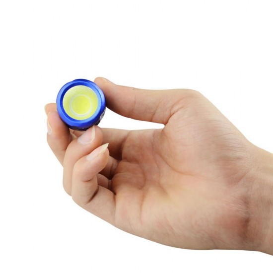 3W Mini LED Pocket Portable Keychain COB Flashlight Camping Light DC3V 3W Mini LED Pocket Portable Keychain COB Flashlight Camping Light DC3V