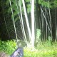 Portable USB COB LED Camping Lantern Lamp Work Camping Light Flashlight Waterproof Spotlight Portable USB COB LED Camping Lantern Lamp Work Camping Light Flashlight Waterproof Spotlight
