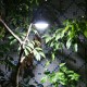 Solar Powered Portable 12 LED Camping Hiking Tent Light Rechargeable Emergency Outdoor Night Lamp