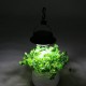 Solar Powered Portable 12 LED Camping Hiking Tent Light Rechargeable Emergency Outdoor Night Lamp Solar Powered Portable 12 LED Camping Hiking Tent Light Rechargeable Emergency Outdoor Night Lamp
