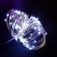 Waterproof 10M 100LED Colorful Warm White Pure White Fairy String Light for Outdoor Christmas DC3.3V