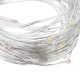 Waterproof 10M 100LED Colorful Warm White Pure White Fairy String Light for Outdoor Christmas DC3.3V