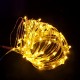 Waterproof 10M 100LED Colorful Warm White Pure White Fairy String Light for Outdoor Christmas DC3.3V