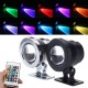 10W RGB LED Light Fountain Pool Pond Spotlight Waterproof Remote Underwater Lamp 10W RGB LED Light Fountain Pool Pond Spotlight Waterproof Remote Underwater Lamp