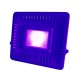 AC110V/220V 50W 395nm UV Curing LED Floodlight Waterproof Lamp for Plastic Printing Money Detector AC110V/220V 50W 395nm UV Curing LED Floodlight Waterproof Lamp for Plastic Printing Money Detector