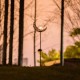 LED Garden Solar Lights Pathway Outdoor Moon Decor Crackle Lawn Lamp Glass LED Garden Solar Lights Pathway Outdoor Moon Decor Crackle Lawn Lamp Glass