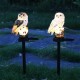 LED Owl Solar Powered Garden Light Resin Statue Lamp Outdoor Ornament Lawn