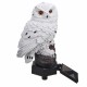 LED Owl Solar Powered Garden Light Resin Statue Lamp Outdoor Ornament Lawn