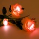 Outdoor LED Solar Rose Flower Light Waterproof Garden Lawn Lamp Landscape Lighting Yard Decoration