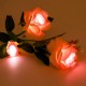 Outdoor LED Solar Rose Flower Light Waterproof Garden Lawn Lamp Landscape Lighting Yard Decoration Outdoor LED Solar Rose Flower Light Waterproof Garden Lawn Lamp Landscape Lighting Yard Decoration