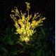 Outdoor Solar Lawn Light Canola Flowers Waterproof Garden Light Led Solar Powered Lights for Garden Patio Yard Decoration