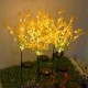 Outdoor Solar Lawn Light Canola Flowers Waterproof Garden Light Led Solar Powered Lights for Garden Patio Yard Decoration Outdoor Solar Lawn Light Canola Flowers Waterproof Garden Light Led Solar Powered Lights for Garden Patio Yard Decoration