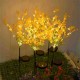 Outdoor Solar Powered LED Canola Flowers Lawn Light Waterproof Garden Lamp Home Decoration