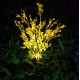 Outdoor Solar Powered LED Canola Flowers Lawn Light Waterproof Garden Lamp Home Decoration