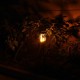 Solar Power 51 LED Torch Garden Light Flickering Fire Flame Outdoor Garden Lawn Lamp Solar Power 51 LED Torch Garden Light Flickering Fire Flame Outdoor Garden Lawn Lamp