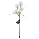 Solar Powered LED Lawn Light Simulation Colorful Flower Outdoor Garden Yard Lamp for Outdoor Path Home Decor Solar Powered LED Lawn Light Simulation Colorful Flower Outdoor Garden Yard Lamp for Outdoor Path Home Decor