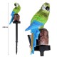 Solar Powered LED Parrot Lawn Light Waterproof Garden Landscape Lamp Outdoor Decor