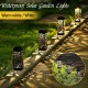 Solar Powered Outdoor LED Lawn Light Waterproof Hollow Garden Lamp Yard Path Decor