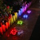 Waterproof LED Solar Lawn Lights 10LED with Side Light Colorful Gardening Light for Outdoor Lawn Garden Pathway Stairs Decoration